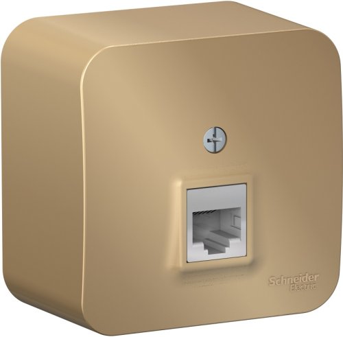 Розетка компьютерная накладная Systeme Electric Blanca 1-м. RJ45 5e титан картинка